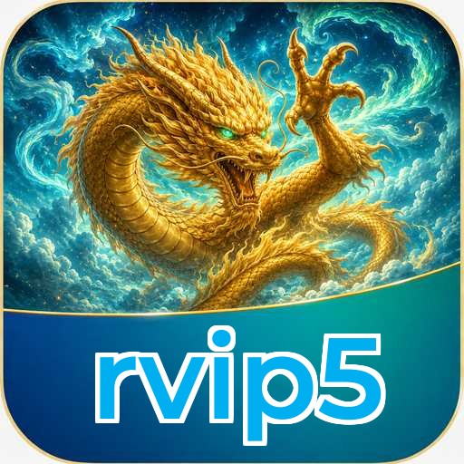 rvip5 APK Structure